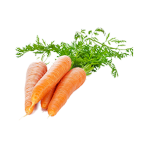 Fresh Carrots
