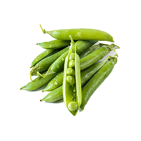 Pea
