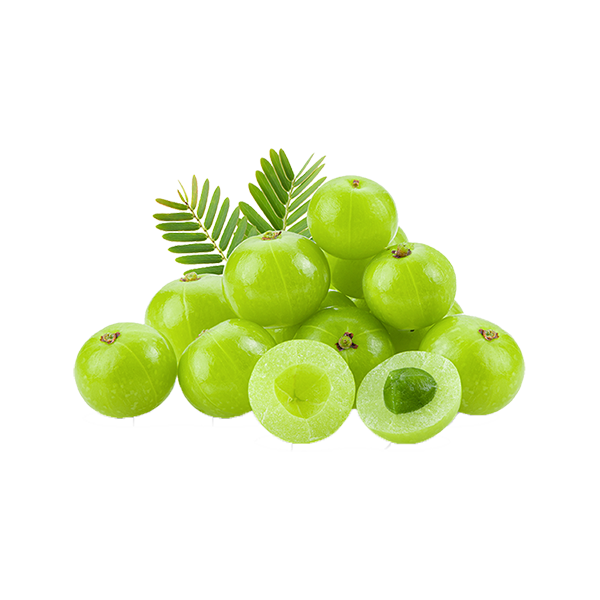 Fresh Grapes