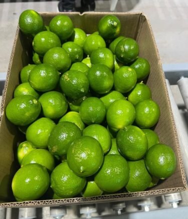 WhatsApp Image 2026-02-21 at 6.11.44 AM (1)