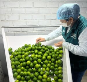 WhatsApp Image 2026-02-21 at 6.11.44 AM (2)