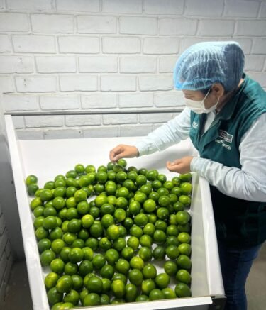 WhatsApp Image 2026-02-21 at 6.11.44 AM (2)