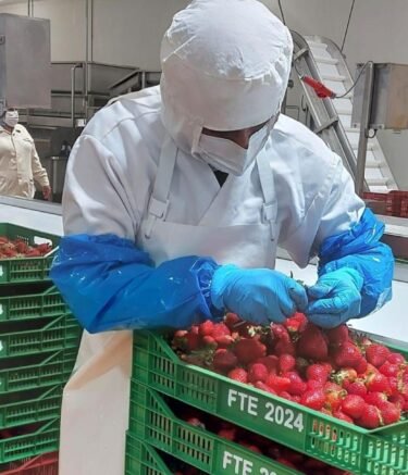 WhatsApp Image 2026-02-21 at 6.11.44 AM (4)