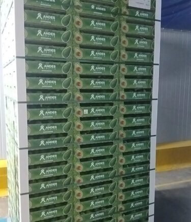 WhatsApp Image 2026-02-21 at 6.11.44 AM (5)