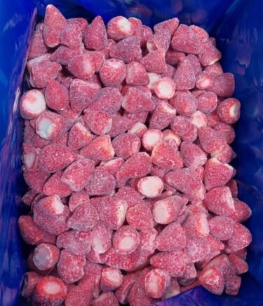 WhatsApp Image 2026-02-21 at 6.11.45 AM (1)