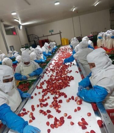 WhatsApp Image 2026-02-21 at 6.11.45 AM (3)